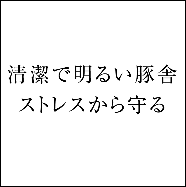 共立ファーム清潔で明るい豚舎ストレスから守る