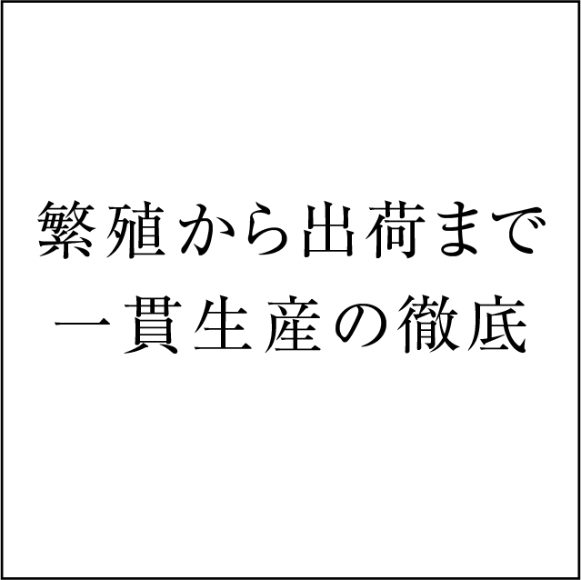 共立ファームのこだわり・繁殖から出荷まで一貫生産の徹底